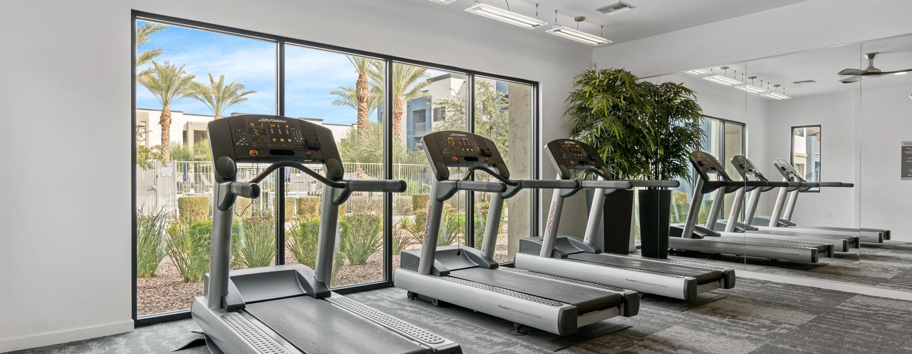 Large Fitness Center Cardio and Weights